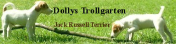 dollys_trollgarten_banner